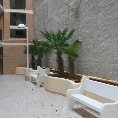 El Mirador *